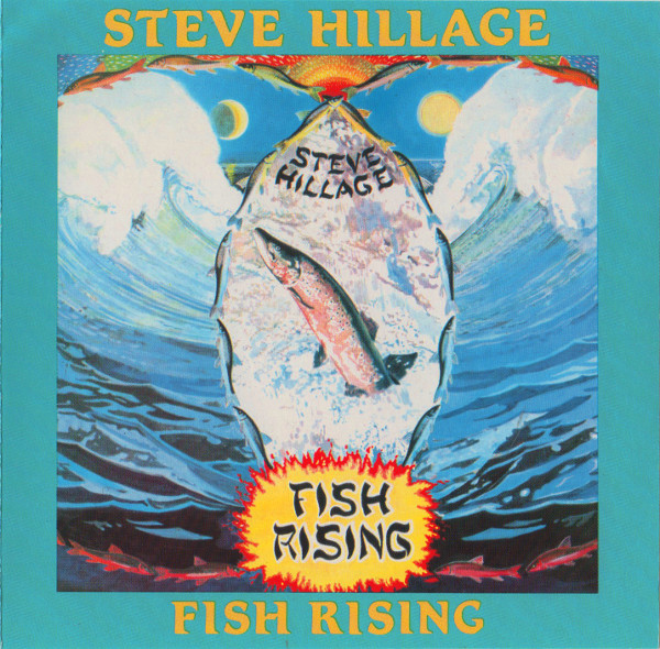 CD Steve Hillage | Fish Rising First Press AAD Holland (1975 Press 1990) /NM (Near Mint) de Época R$179